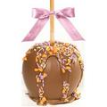 Gourmet Dunked Milk Chocolate Caramel Apple w/ Spring Sprinkles